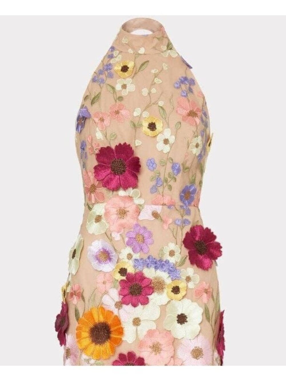 Women's 3D Floral Applique Mini Dress
